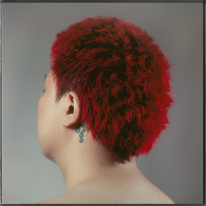 好多水好爽的APP网站
