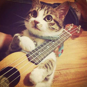 好多水好爽的APP网站
